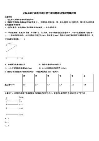 2024届上海市卢湾区高三适应性调研考试物理试题含解析.doc