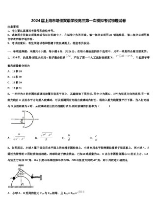 2024届上海市培佳双语学校高三第一次模拟考试物理试卷含解析.doc