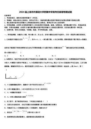 2024届上海市外国语大学附属中学高考仿真卷物理试题含解析.doc