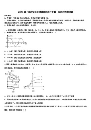 2024届上海市宝山区建峰高中高三下第一次测试物理试题含解析.doc