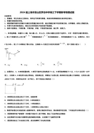 2024届上海市宝山区罗店中学高三下学期联考物理试题含解析.doc