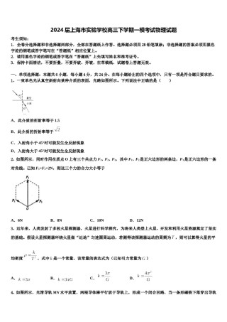 2024届上海市实验学校高三下学期一模考试物理试题含解析.doc