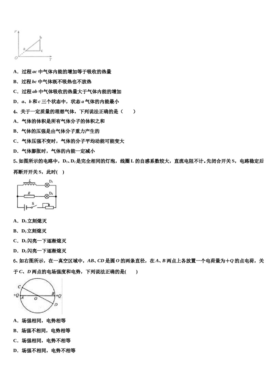 2024届上海市第一中学高三下学期第一次联考物理试卷含解析.doc_第2页
