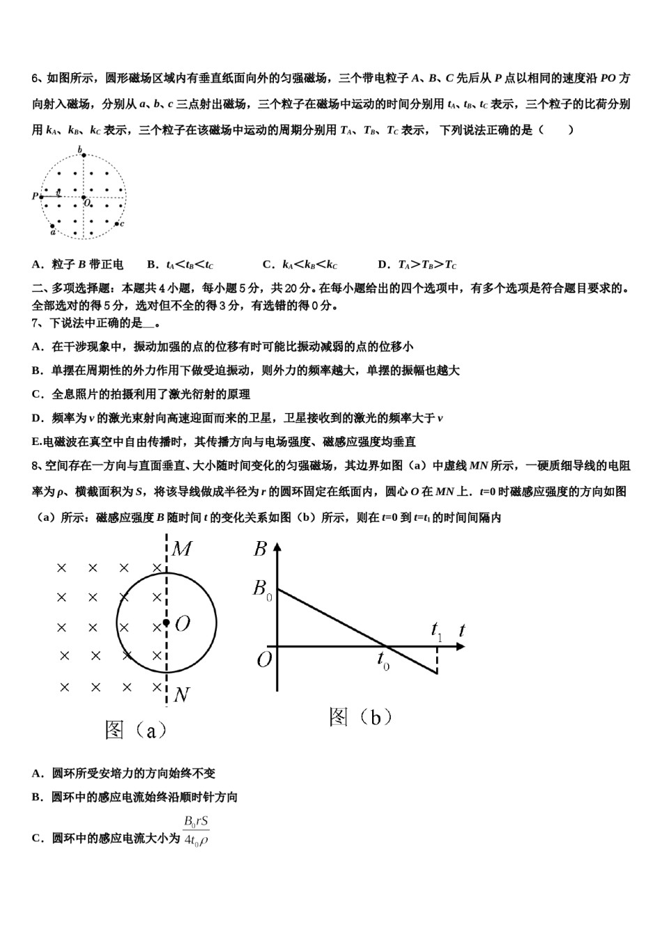 2024届上海市闵行区七宝中学高三下学期第五次调研考试物理试题含解析.doc_第3页