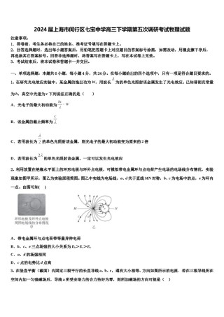 2024届上海市闵行区七宝中学高三下学期第五次调研考试物理试题含解析.doc