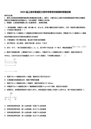 2024届上海市黄浦区大同中学高考仿真模拟物理试卷含解析.doc