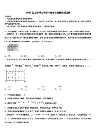 2024届上海师大学附中高考仿真卷物理试卷含解析.doc