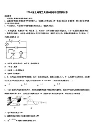 2024届上海理工大附中高考物理三模试卷含解析.doc