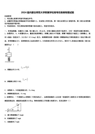 2024届内蒙古师范大学附属学校高考仿真卷物理试题含解析.doc