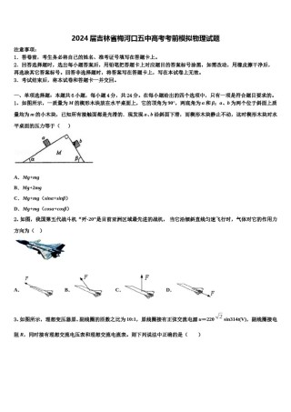 2024届吉林省梅河口五中高考考前模拟物理试题含解析.doc