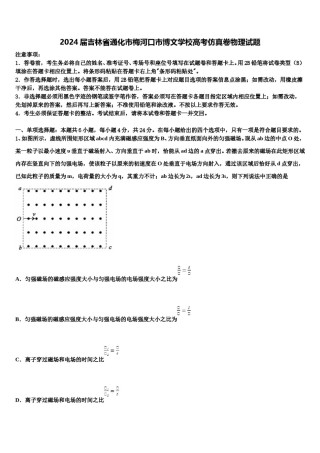 2024届吉林省通化市梅河口市博文学校高考仿真卷物理试题含解析.doc