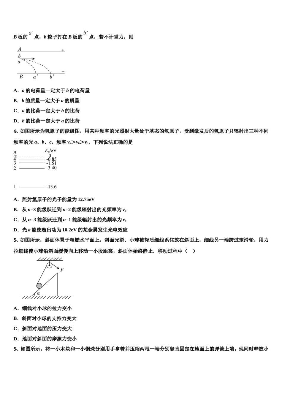 2024届吉林省长春市九台区师范高中、实验高中高三冲刺模拟物理试卷含解析.doc_第2页