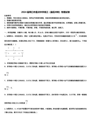 2024届周口市重点中学高三（最后冲刺）物理试卷含解析.doc