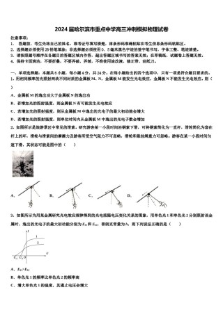 2024届哈尔滨市重点中学高三冲刺模拟物理试卷含解析.doc