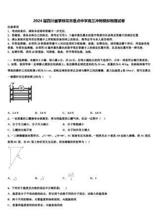 2024届四川省攀枝花市重点中学高三冲刺模拟物理试卷含解析.doc