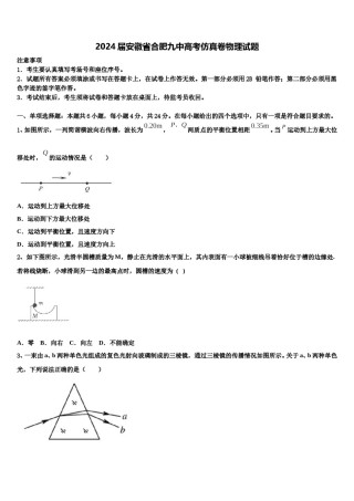 2024届安徽省合肥九中高考仿真卷物理试题含解析.doc