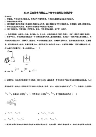 2024届安徽省马鞍山二中高考仿真模拟物理试卷含解析.doc