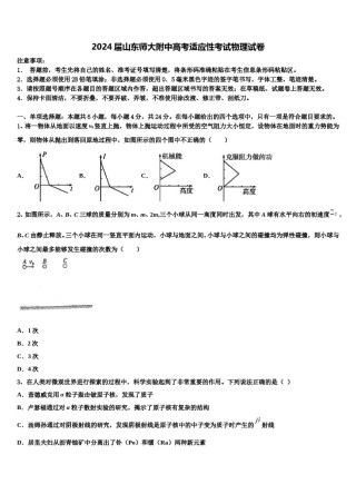 2024届山东师大附中高考适应性考试物理试卷含解析.doc