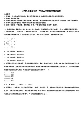 2024届山东平阴一中高三冲刺模拟物理试卷含解析.doc