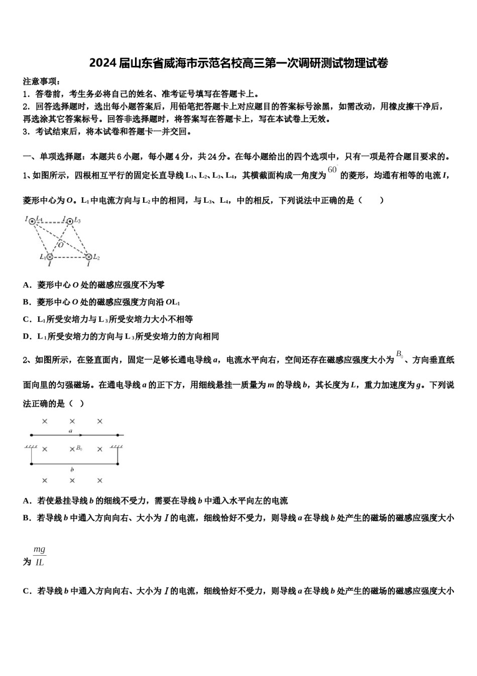 2024届山东省威海市示范名校高三第一次调研测试物理试卷含解析.doc_第1页