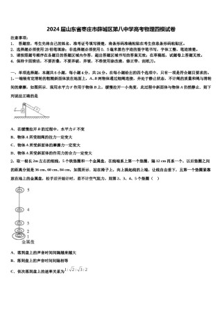 2024届山东省枣庄市薛城区第八中学高考物理四模试卷含解析.doc