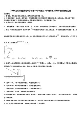 2024届山东省济南市济南第一中学高三下学期第五次调研考试物理试题含解析.doc