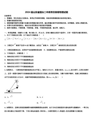 2024届山东省烟台二中高考仿真卷物理试题含解析.doc