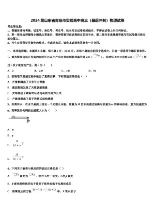 2024届山东省青岛市实验高中高三（最后冲刺）物理试卷含解析.doc
