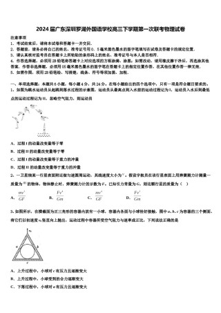 2024届广东深圳罗湖外国语学校高三下学期第一次联考物理试卷含解析.doc