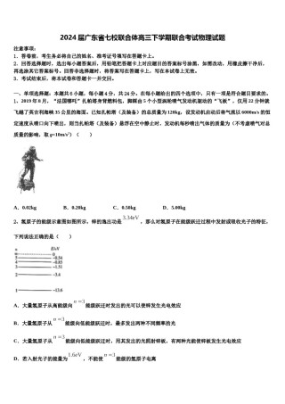 2024届广东省七校联合体高三下学期联合考试物理试题含解析.doc