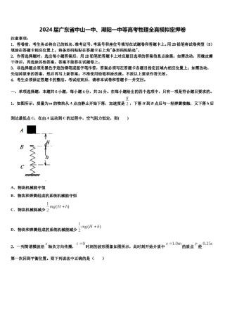 2024届广东省中山一中、潮阳一中等高考物理全真模拟密押卷含解析.doc