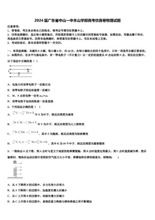 2024届广东省中山一中丰山学部高考仿真卷物理试题含解析.doc