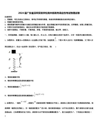 2024届广东省深圳实验学校高中部高考适应性考试物理试卷含解析.doc