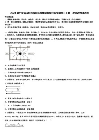 2024届广东省深圳市福田区耀华实验学校华文部高三下第一次测试物理试题含解析.doc