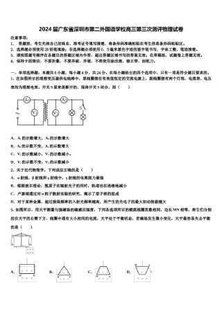 2024届广东省深圳市第二外国语学校高三第三次测评物理试卷含解析.doc