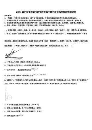 2024届广东省深圳市龙文教育高三第二次诊断性检测物理试卷含解析.doc