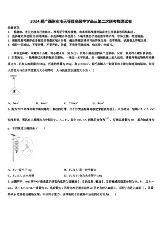 2024届广西崇左市天等县高级中学高三第二次联考物理试卷含解析.doc