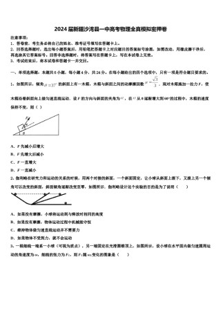 2024届新疆沙湾县一中高考物理全真模拟密押卷含解析.doc
