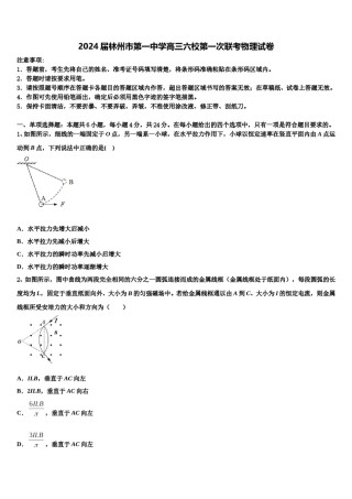 2024届林州市第一中学高三六校第一次联考物理试卷含解析.doc