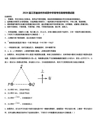 2024届江苏省徐州市诚贤中学高考仿真卷物理试题含解析.doc