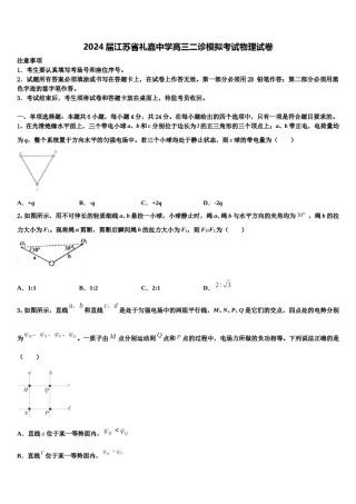 2024届江苏省礼嘉中学高三二诊模拟考试物理试卷含解析.doc