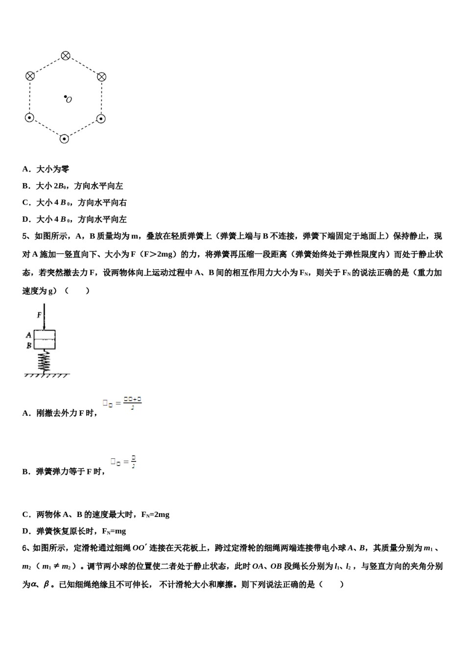 2024届江西丰城二中高三下学期第五次调研考试物理试题含解析.doc_第2页