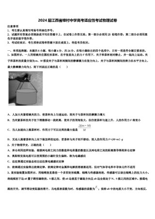 2024届江西省樟村中学高考适应性考试物理试卷含解析.doc