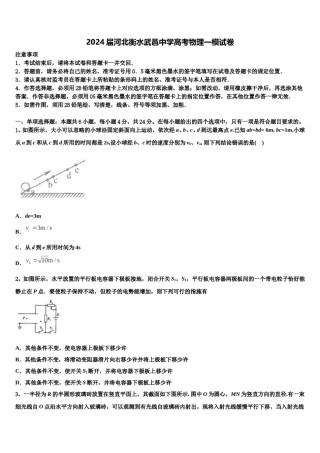 2024届河北衡水武邑中学高考物理一模试卷含解析.doc