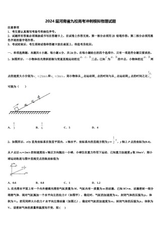 2024届河南省九校高考冲刺模拟物理试题含解析.doc