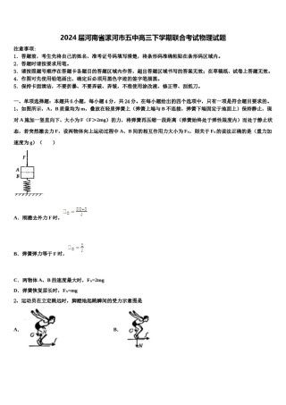 2024届河南省漯河市五中高三下学期联合考试物理试题含解析.doc
