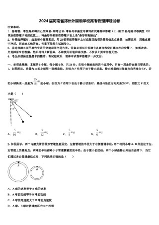 2024届河南省郑州外国语学校高考物理押题试卷含解析.doc