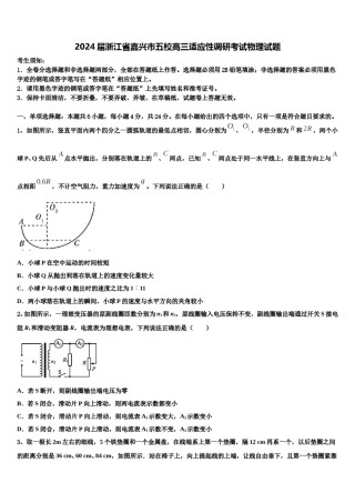 2024届浙江省嘉兴市五校高三适应性调研考试物理试题含解析.doc