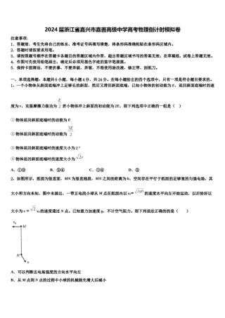 2024届浙江省嘉兴市嘉善高级中学高考物理倒计时模拟卷含解析.doc
