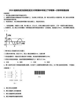 2024届湖北武汉武昌区武汉大学附属中学高三下学期第一次联考物理试卷含解析.doc